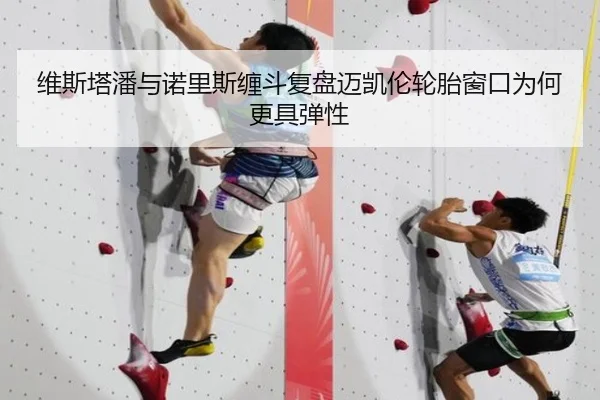 维斯塔潘与诺里斯缠斗复盘迈凯伦轮胎窗口为何更具弹性